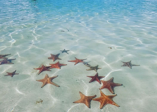 Starfish Point sandbar