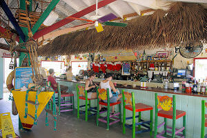 Rum Point Stingray Tour