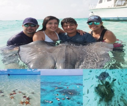Snorkeling the barrier reef